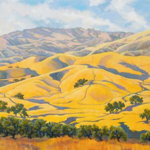 Cloud Haze, oil on panel, 2025 by Robin Gowen, part of her A Wild Hush Exhibit, 2025 at Sullivan Goss